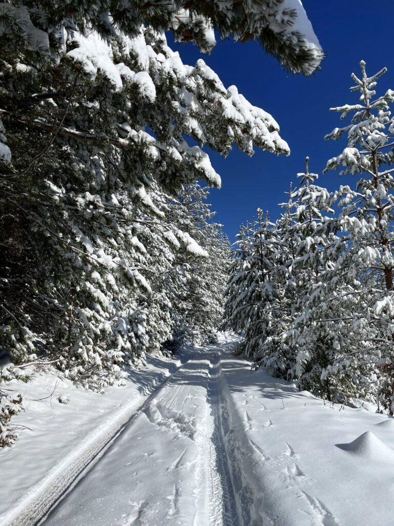 bansko