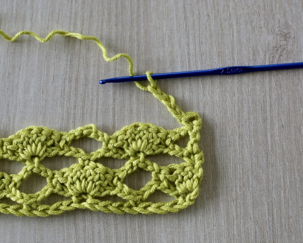 crochet shell stitch